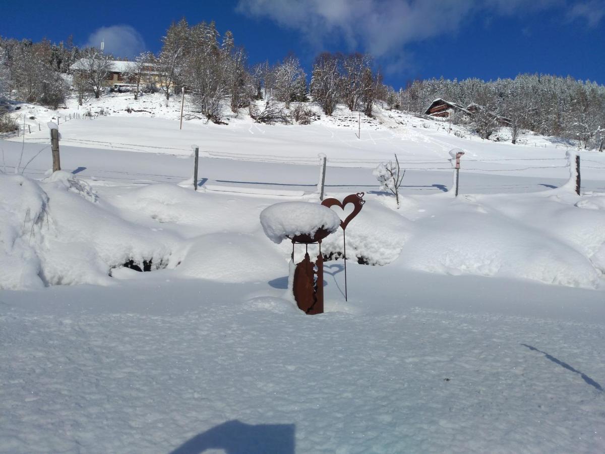 Ferienhaus Gstoderblick Seebach  Bagian luar foto