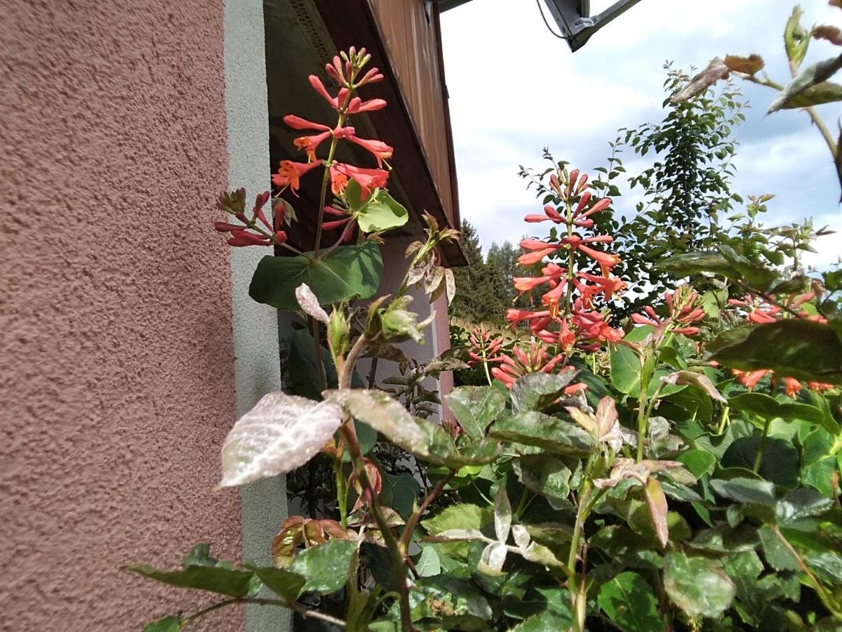 Ferienhaus Gstoderblick Seebach  Bagian luar foto
