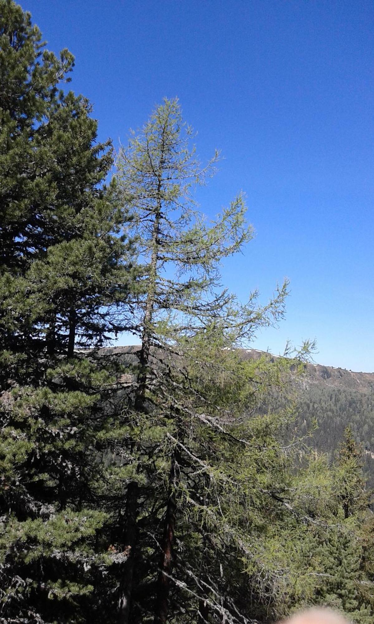 Ferienhaus Gstoderblick Seebach  Bagian luar foto